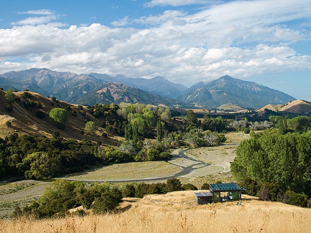 How PurePod luxury glass cabins are helping New Zealand farmers diversify their income | NZ Life & Leisure
