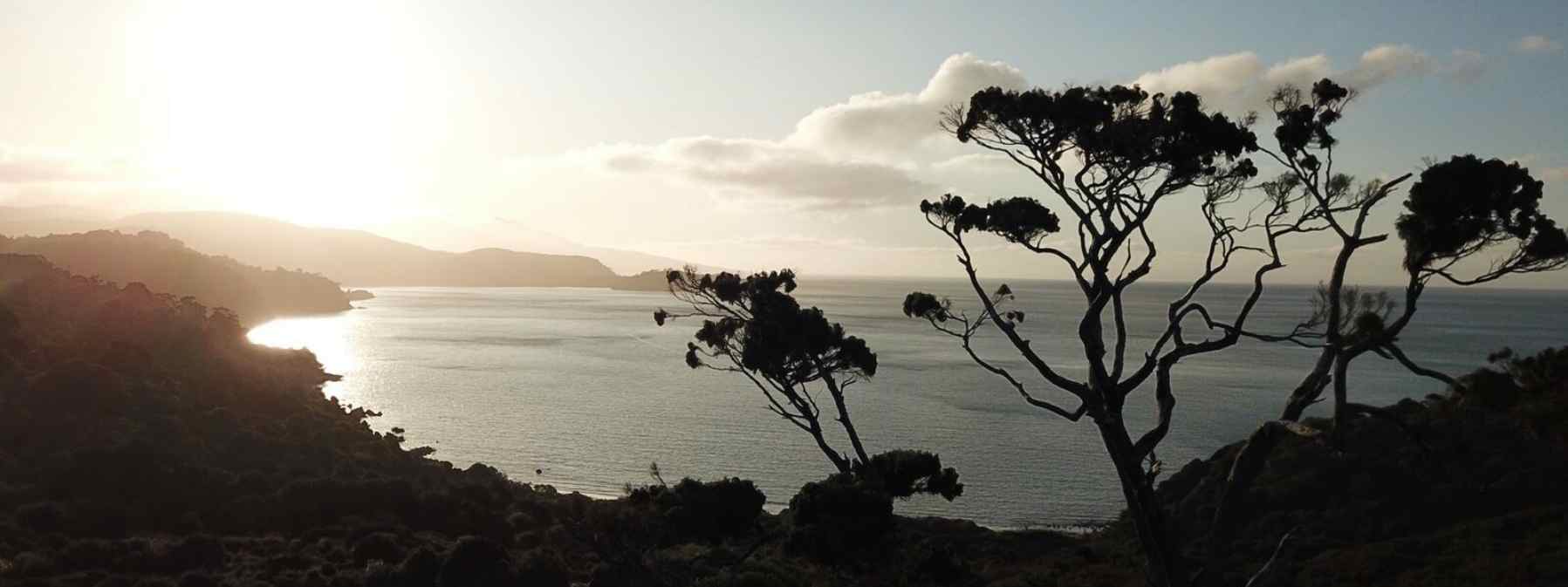 The Secret is Out! PurePods are Now on The Magical Rakiura Stewart Island