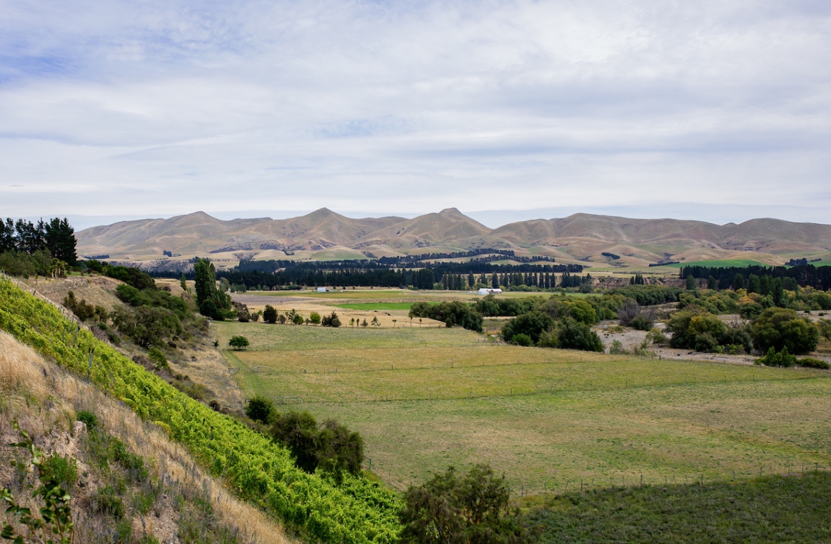 Discover North Canterbury’s Coolest Little Wine Region